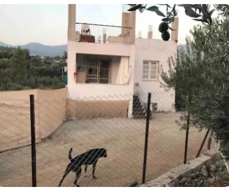 Emirhan 2, Doga Ile Vadi Icinde, Sakinlik * פאטהיה